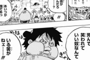 【悲報】ルフィさん、仲間を信用しないで殺そうとするｗｗｗｗｗ