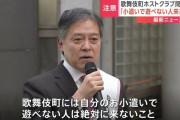 【速報】新宿区長「自分のお小遣いで遊べない人は歌舞伎町に来るな」
