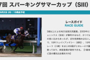 9/2(水) 川崎11R 第17回 スパーキングサマーカップ(S Ⅲ)(地方交流) 20:15