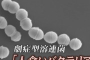 致死率30%と言われる都内で流行の『人食いバクテリア』その症状が怖すぎ...