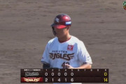 ロッテ、5回終わって14失点…