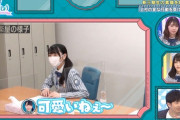 【日向坂46】登場人物が全員変人な番組ｗｗｗｗｗｗｗｗｗｗｗｗ