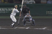 甲子園のバックネット裏にトラ出現ｗｗｗｗｗｗｗｗｗｗｗ