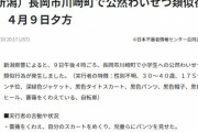 性別不明の不審者が薔薇をくわえ自分のスカートをめくりパンツを見せる事案が発生