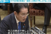 岸田総理「消費税上げるかは現時点では言えない?」