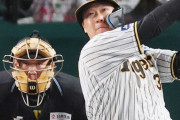 大山悠輔(28)のプロ野球人生を振り返る