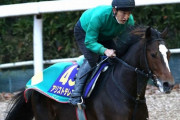 【有馬記念】アリストテレス音無師「前走は経験したことのないハナに行く競馬でずっと物見をしていた」