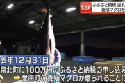 【愛媛】山の町へ100万円のふるさと納税、返礼品として57.6キロのマグロ発送