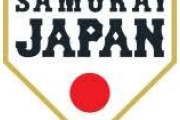 【野球】ほぼ知らない人が知ったかぶりして語るトピ