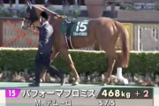 9歳馬パフォーマプロミスが骨折、手術へ