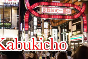 【海外の反応】 歌舞伎町。日本で一番デンジャラスな場所のこと