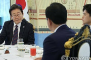 踏み絵を踏む準備が出来て無いニダ！　〜　李大統領　ＮＡＴＯ会議出席せず＝中東情勢など踏まえ