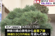 【岸田の宝】外国人留学生のせいで盆栽すら外に置けない時代に