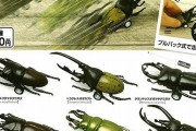 【朗報】虫さんが走るとんでもないおもちゃ発売されるｗｗｗｗｗｗｗｗ