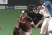 日ハム今川優馬のインコース捌きｗｗｗｗｗｗｗｗ