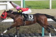 【競馬予想】第25回 シリウスステークス(G3) /2021