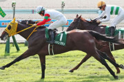【競馬予想】第58回京王杯2歳ステークス(GⅡ) /2022