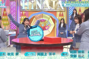 【日向坂46】うおおお！次回のひなあい、完全神回ｷﾀ━━━━(ﾟ∀ﾟ)━━━━!!