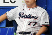 ヤクルト（2017年）45勝96敗勝率.319←これ当時のなんjどんな感じやったん？