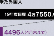 【悲報】日本政府｢しかたないけど移民入れるぞ。 目標は5万人や！いっぱい来るやろなあ…｣