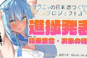 Vtuber 【雪花ラミィ】ラミィがyoutubeポリシーに抵触してるかそうじゃないのか…→なぜか最終的ににじさんじに矛先が向かうｗｗｗｗ