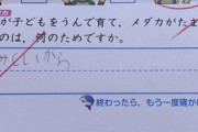 日本の教育のダメな所を凝縮したかのような問題。何で×付けてんねん！ 正解やろが！   日教組・全教死ねアホンダラ！