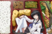 【知ってた】お弁当屋「申し訳ないが、消費税が下がったら、その分だけ商品価格を上げるから」