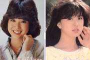 当時は松田聖子派と中森明菜派がいたよな？