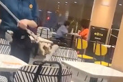 【動画】中国、マクドナルド従業員が店内の椅子をモップで拭いているとネットで物議！