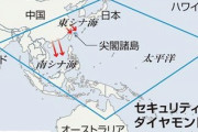 【速報】パヨスレ立て悲鳴「バイデン政権、ネトウヨだった「日米豪印で協力し中国に対価を払わせる」」