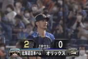 【vsオリックス】日ハム大田、7回にリードを2点に広げる貴重なタイムリー！