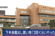 【愛知】下半身を露出しながら買い物をしていた東郷町環境課職員、逮捕