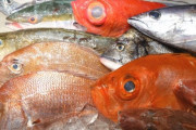 意外な事実！魚を1日2回以上食べると「高血圧」になりやすいことが判明…