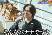 『ザ！鉄腕！DASH！！』ついに357日間の新宿バナナ計画が完結