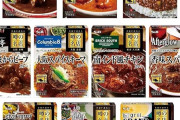 エスビー食品 噂の名店シリーズ カレー&ハヤシ 全国10種セットがプライムデー特価！全部違う味！
