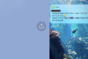 【画像】夫さん、嬢へのLINEを嫁に誤爆するｗｗｗｗｗｗｗｗｗｗｗｗｗｗｗ