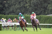 競馬を知らない人におすすめしたいレースはどのレース？