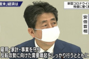 【画像】安倍晋三首相、布マスクを装着