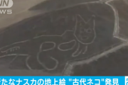 【画像】新たなナスカの地上絵が発見される！！