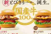 「59円時代が懐かしい…」ハンバーガーがデフレの象徴だったのは過去の話　モスバーガー「新とびきり」好調から考える「ハンバーガー700円時代」の金銭感覚