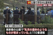 殺害した赤ん坊を公園に埋めた女、言葉の意味がわからず裁判長を苛つかせる