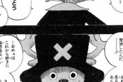 【ONEPIECE -ワンピース】チョッパー以外の過去編「可哀想やなぁ」