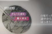 【朗報】白髪染めメーカー「ハーブの成分で白髪の根元から黒やグレーに変化していることが確認された」