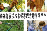 【悲報】ヴィーガンさん、「植物はいいのか論」を完全論破