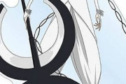 【BLEACH】この変な形の刀で何斬んだよ