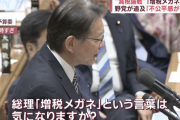 【悲報】立憲民主党「総理、増税メガネは気になるか？」国会で質問