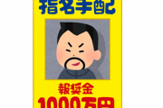 【懸賞金アリ】まだ捕まってない『指名手配』されてる人たち【画像】