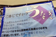 環境省「うなぎが絶滅しそうなの！」 日本人「土用の丑の日だウナギうめー」