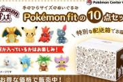 【話題】『ポケモン』の「ぬいぐるみ Pokémon fit」10個セットの販売がスタート！！おひとりさま1点限定となっているぞ！！