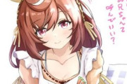 【ウマ娘】「今日はお兄ちゃんって呼んでいい？」ちょっと甘えたくなったブーちゃんがこちら